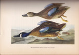 Audubon by Constance Rourke FIRST EDITION, FIRST PRINTING [1936] - The Real Book Shop 