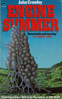 Engine Summer by John Crowley