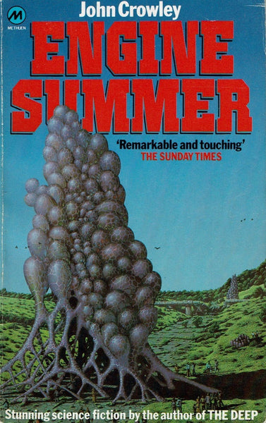 Engine Summer by John Crowley