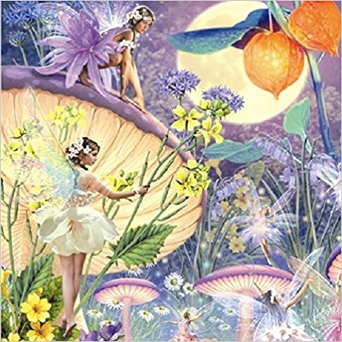Faerie Greeting Card with CD Audio CD