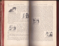 The Pilgrim's Progress. from this World to that which is to come delivered under the similitude of a dream. In two parts by John Bunyan [1845] - The Real Book Shop 