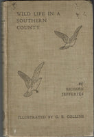 Wild Life in a Southern County by Richard Jefferies