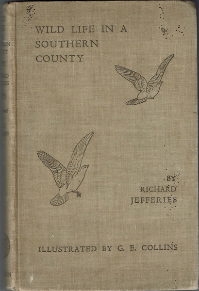 Wild Life in a Southern County by Richard Jefferies