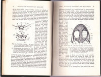 A Manual of Elementary Zoology by L A Borradaile, ScD [1941] - The Real Book Shop 